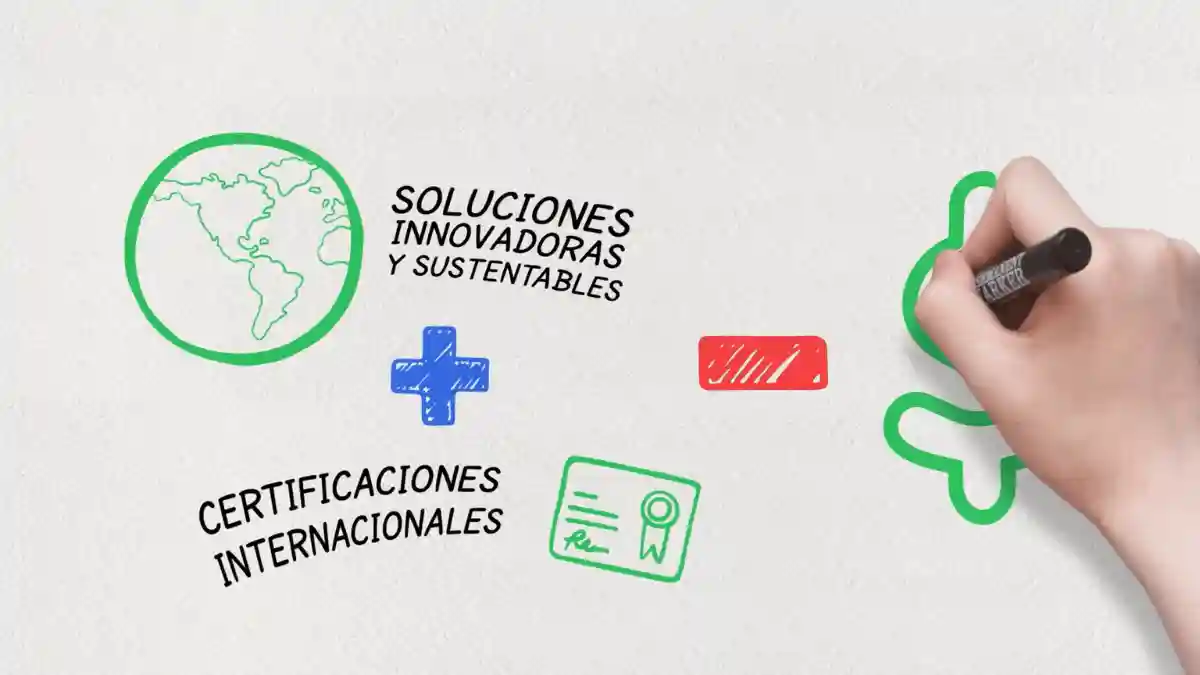 Video tutorial de uso de herramienta o software interno — capacitación en video para reducir carga de soporte en empresas en México
