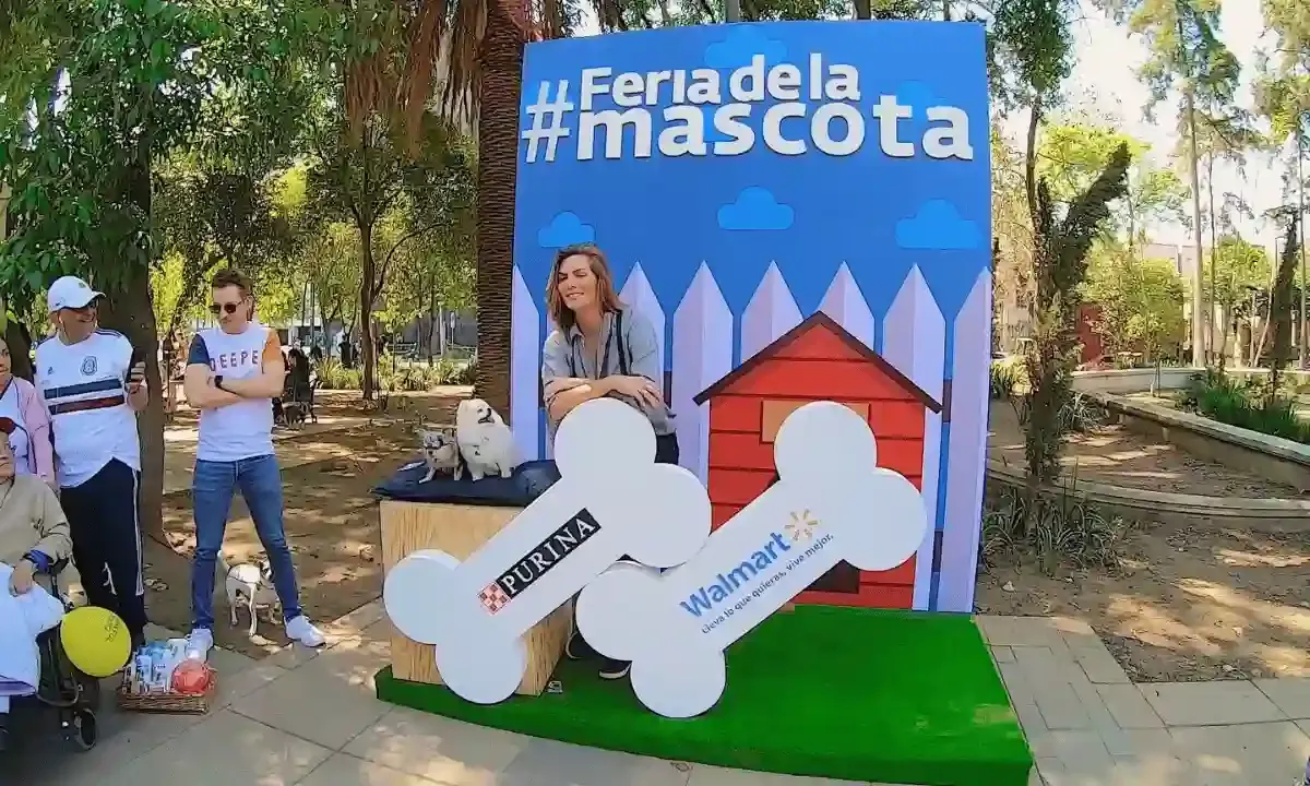 Cobertura audiovisual de evento corporativo Walmart por Videento, Ciudad de México