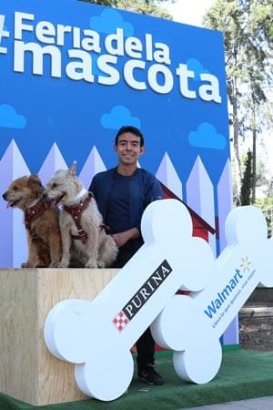 Deja De Perder Clientes Utilizando La Comunicación Audiovisual 9 Comunicación Audiovisual Aplicada En Levantamiento De Imagen